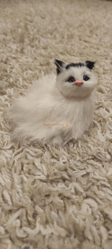 Кот из меха со звуком 2 во Агрызе